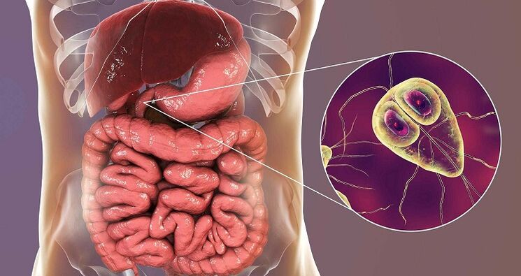 parasites in the body treatment with folk remedies