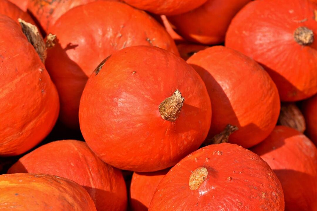 pumpkin against orange worms