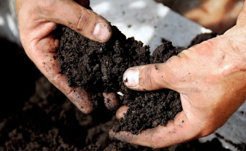 working with the soil as a way of infection by worms
