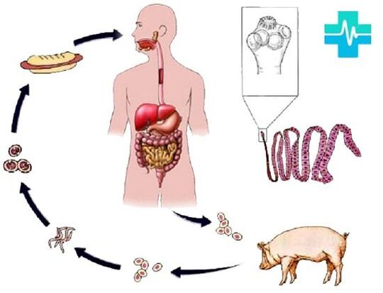 Method of infection